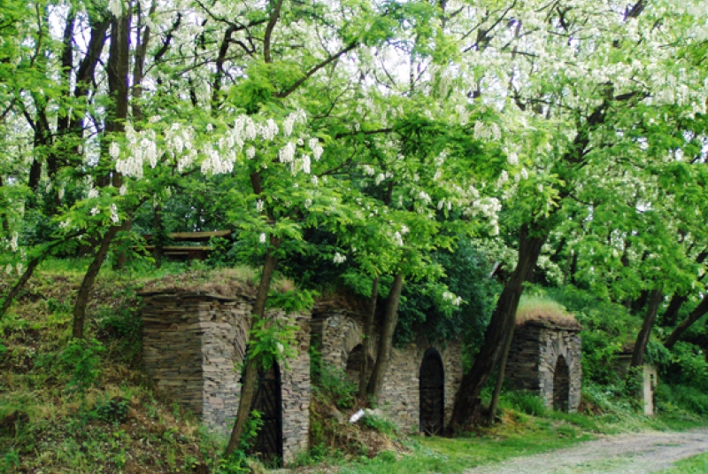 Obec Malý Horeš