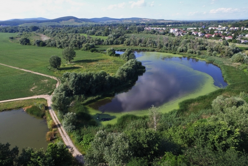 Obec Streda nad Bodrogom