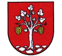 Veľký Kamenec